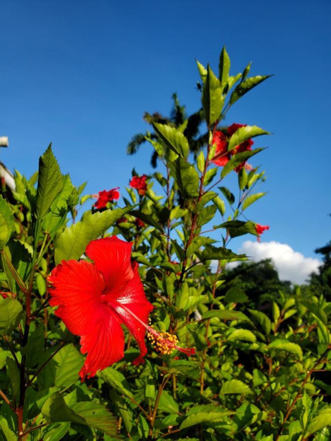 La Diguoise Hotel La Digue Buitenkant foto